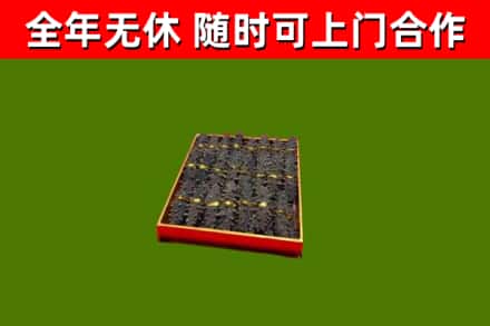 云安区回收海参